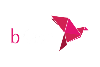 bKash Logo Dark