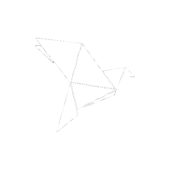 bKash Logo Dark